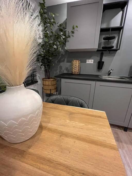 Gezellig Appartement, Gerenoveerd Eind 2022 Tilburg Esterno foto